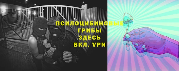 стаф Волоколамск