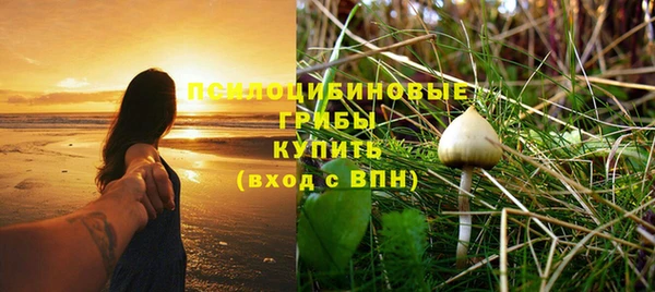 МДМА Вяземский