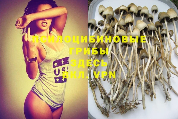 МДПВ Володарск