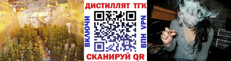 купить   Вилючинск  ТГК THC oil 