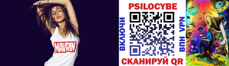 Галлюциногенные грибы Psilocybine cubensis где купить наркоту Вилючинск
