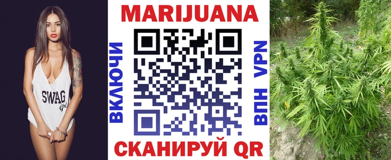 дарнет шоп мориарти официальный сайт Канабис план Вилючинск